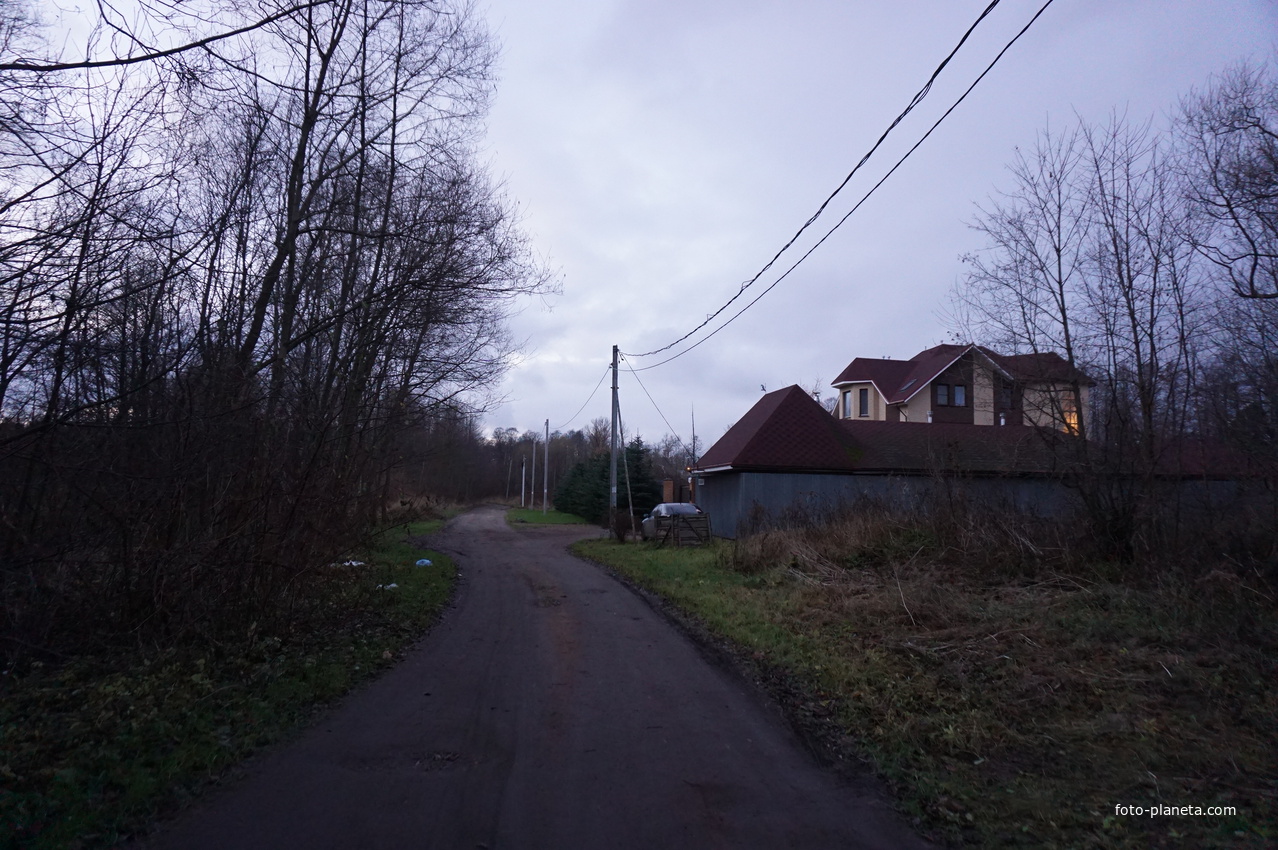 Улица Соловьиная.