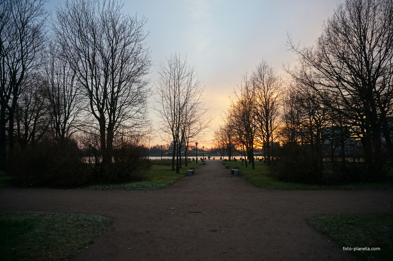 В сквере Роза Ветров.