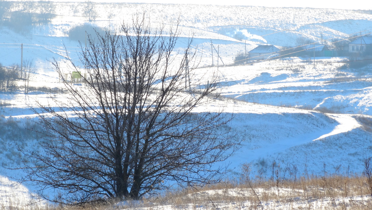 Голубые снежные тени села Скородного.