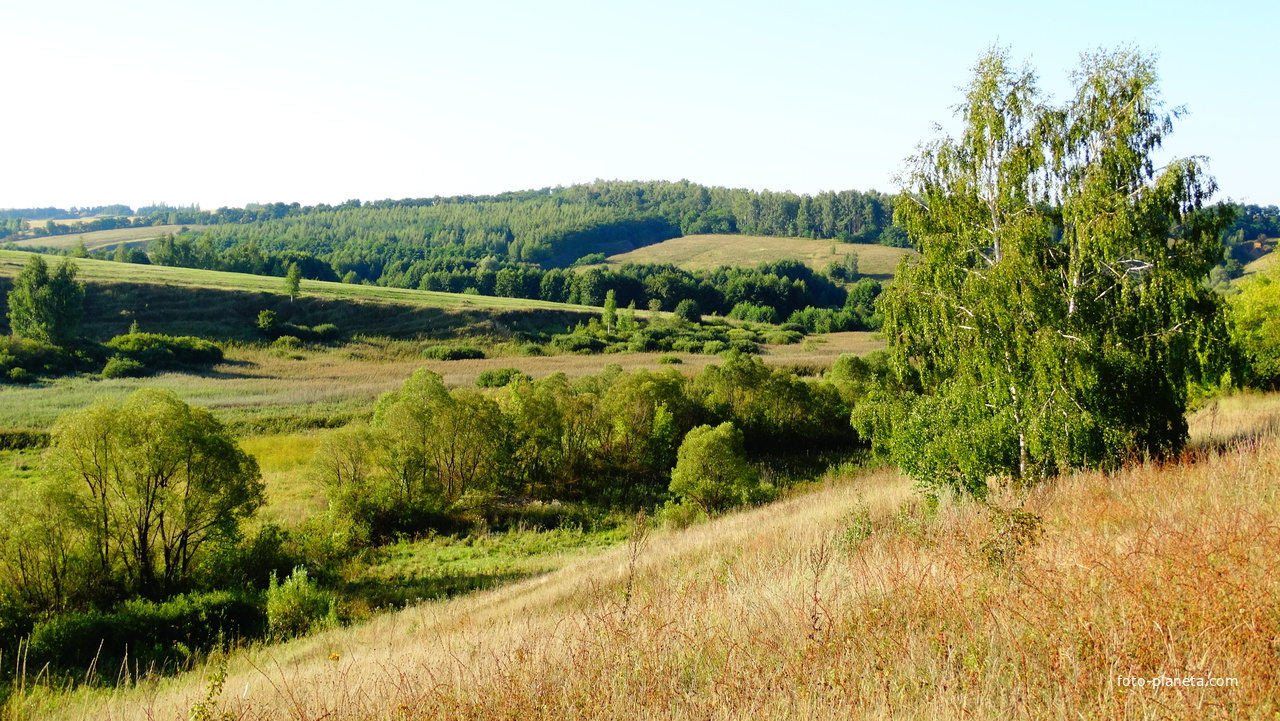 Вид на березовую рощу Сторожевского склона и котлину.