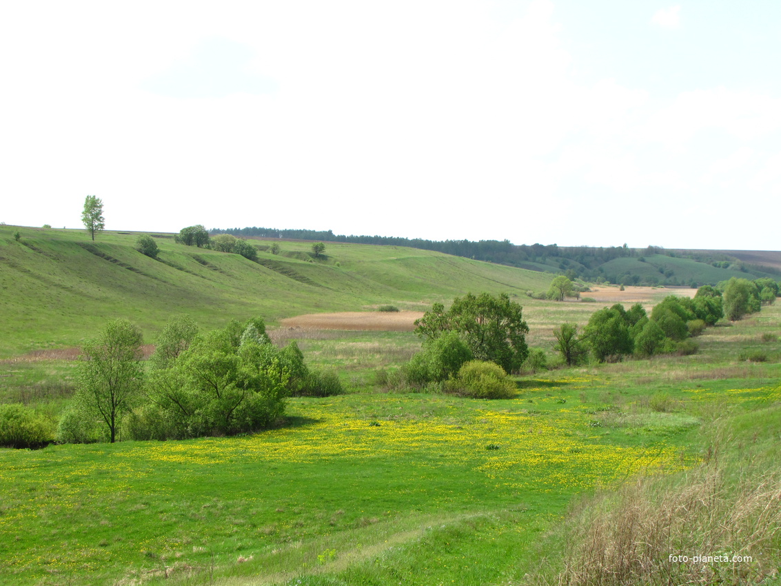 Вид на дальний хутор Выдрин со стороны ближнего хутора.