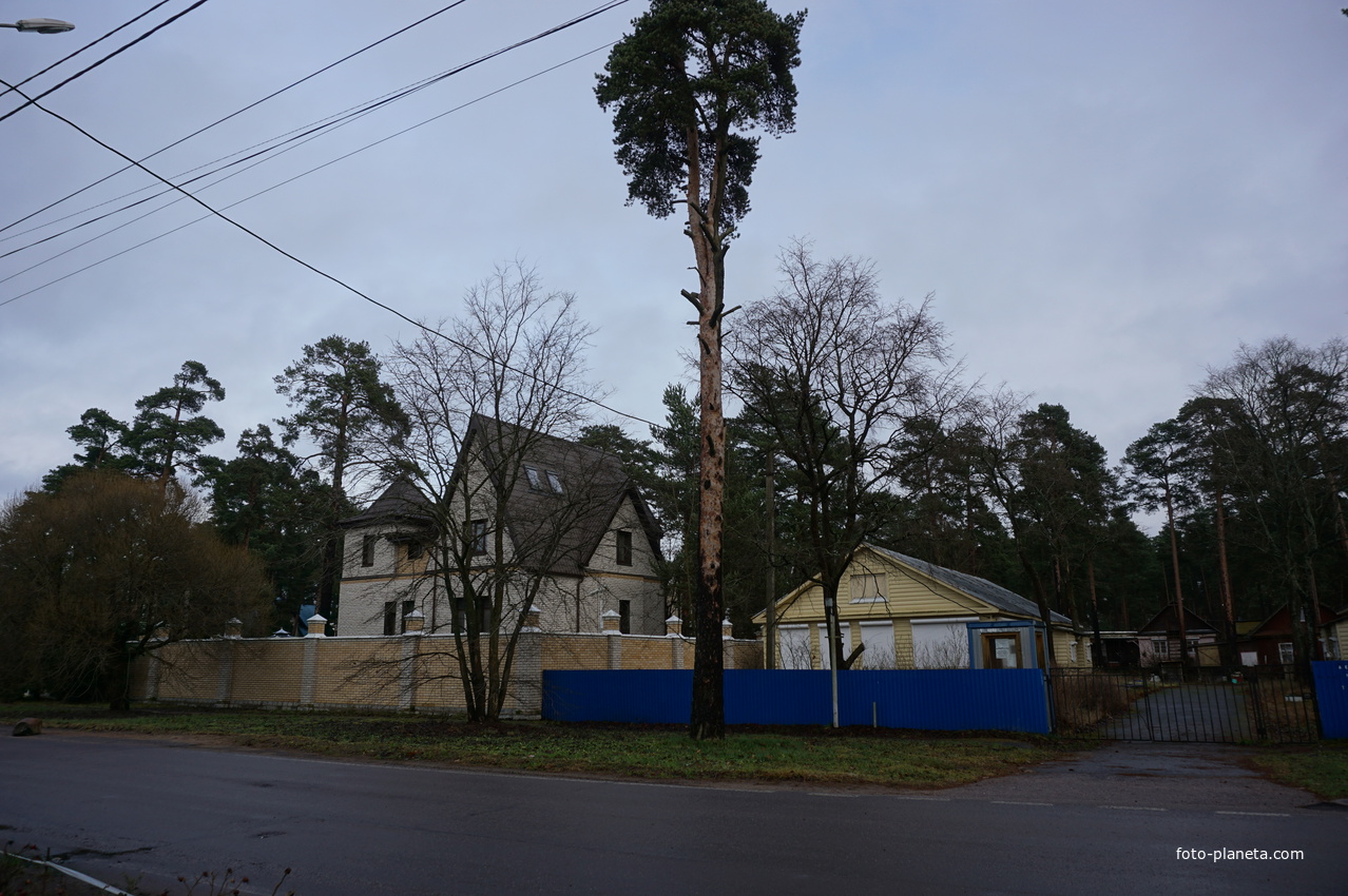 Сестрорецк п.Разлив.