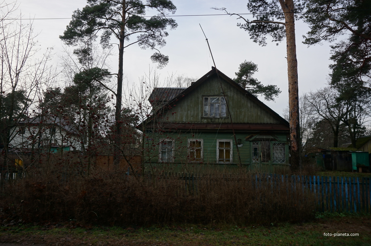 Сестрорецк п.Разлив.