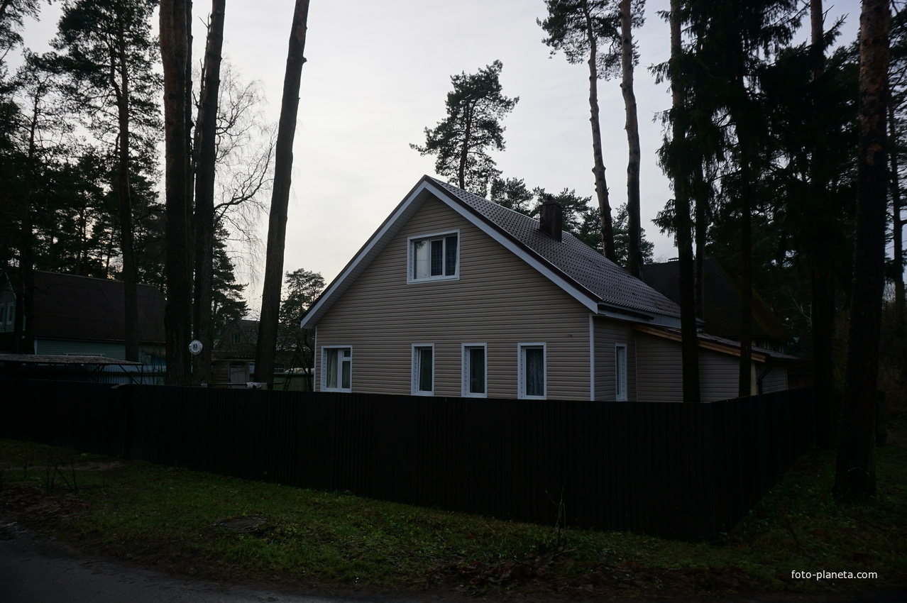 Сестрорецк п.Разлив.