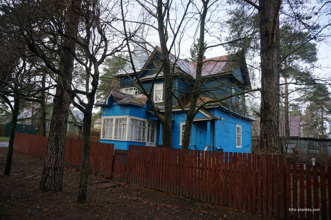 Сестрорецк п.Разлив.