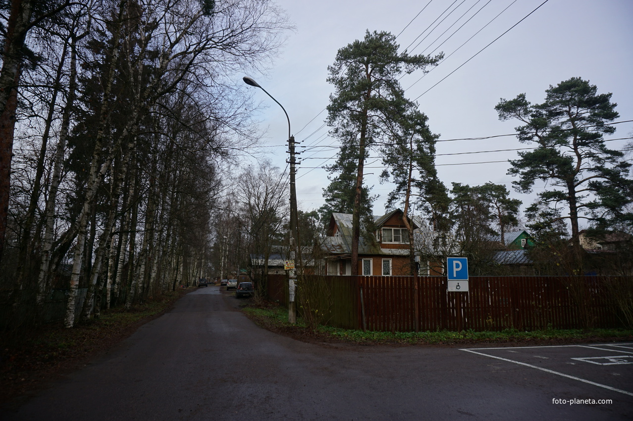 Сестрорецк п.Разлив.