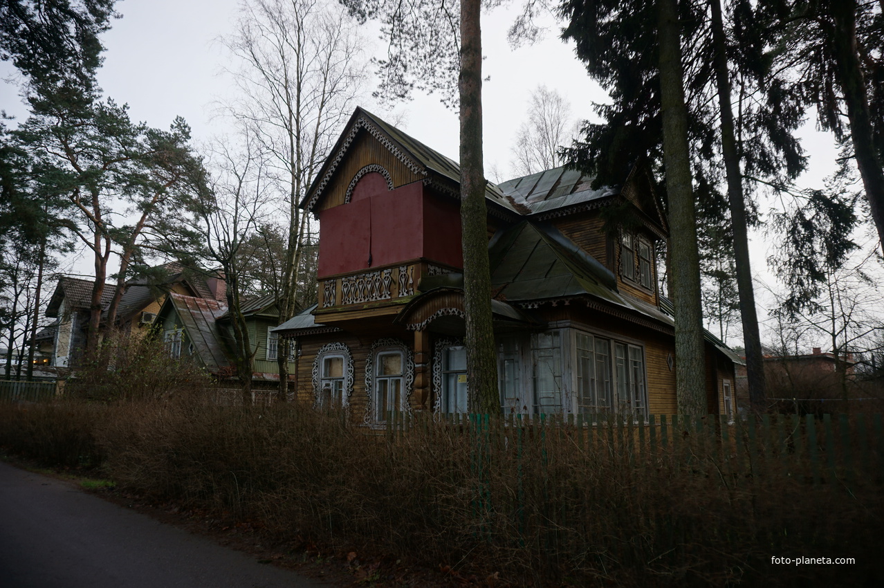 Сестрорецк п.Разлив.