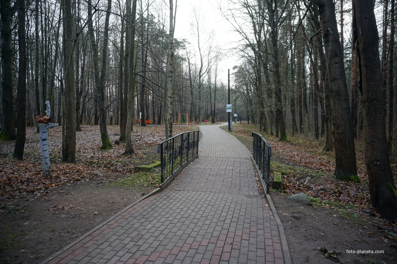 В сквере Чернобыльцев.