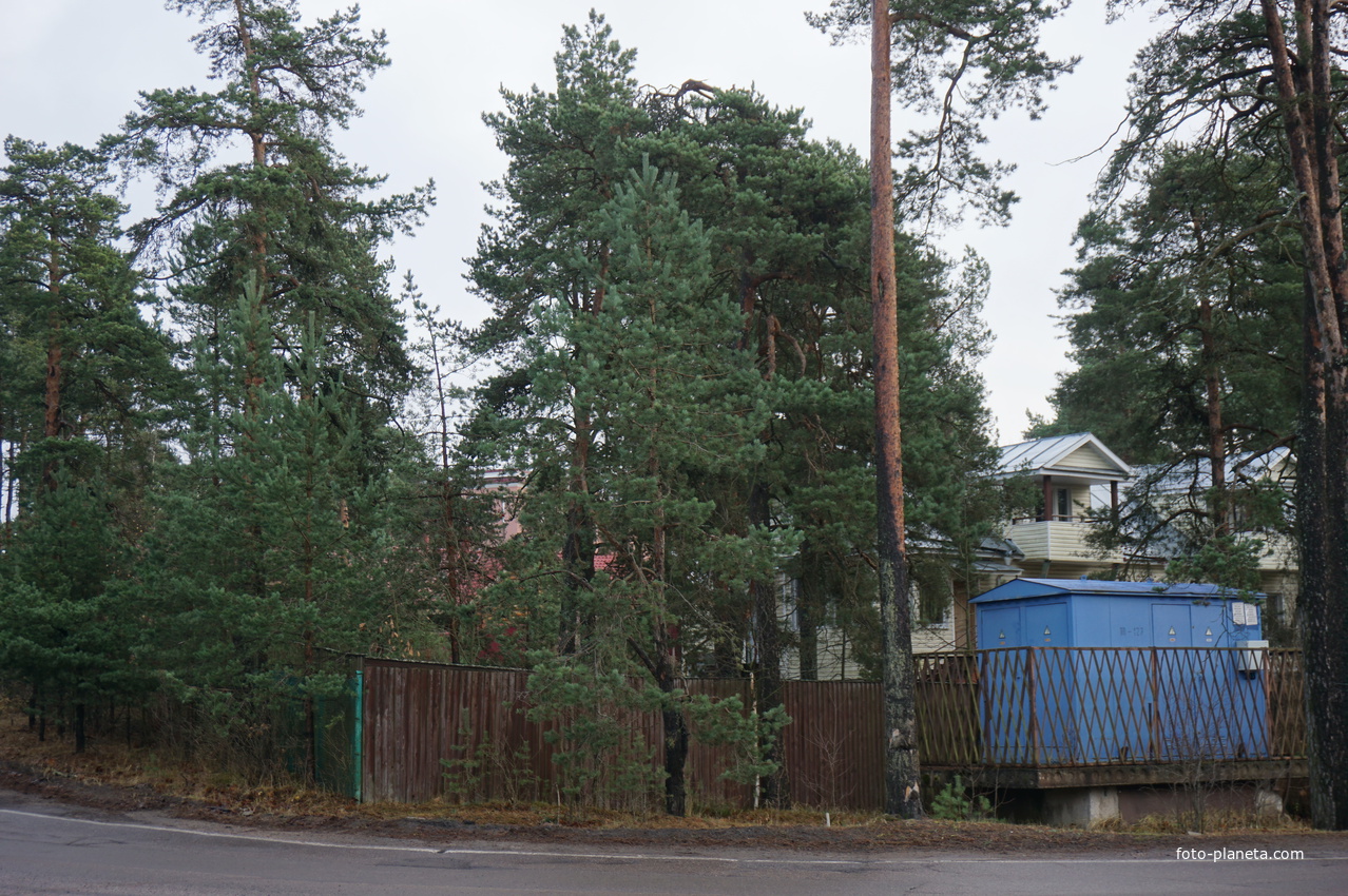 Сестрорецк п.Разлив.