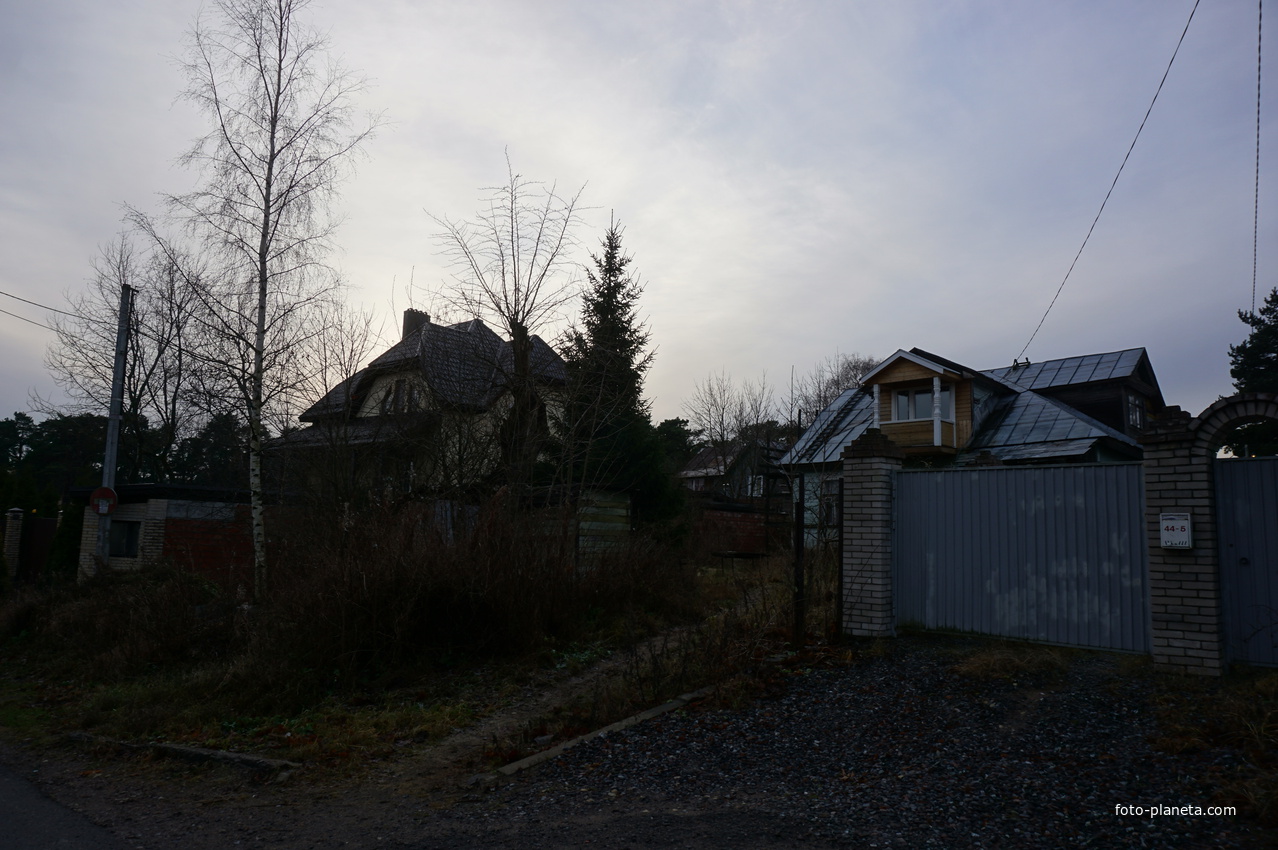 Сестрорецк п.Разлив.