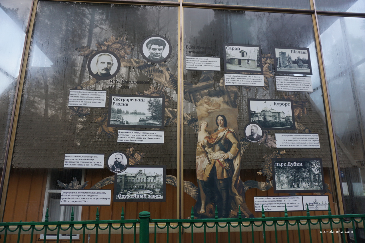 Сестрорецк п.Разлив.