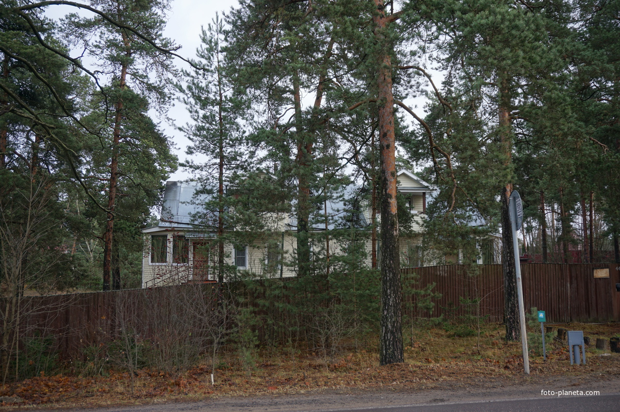 Сестрорецк п.Разлив.