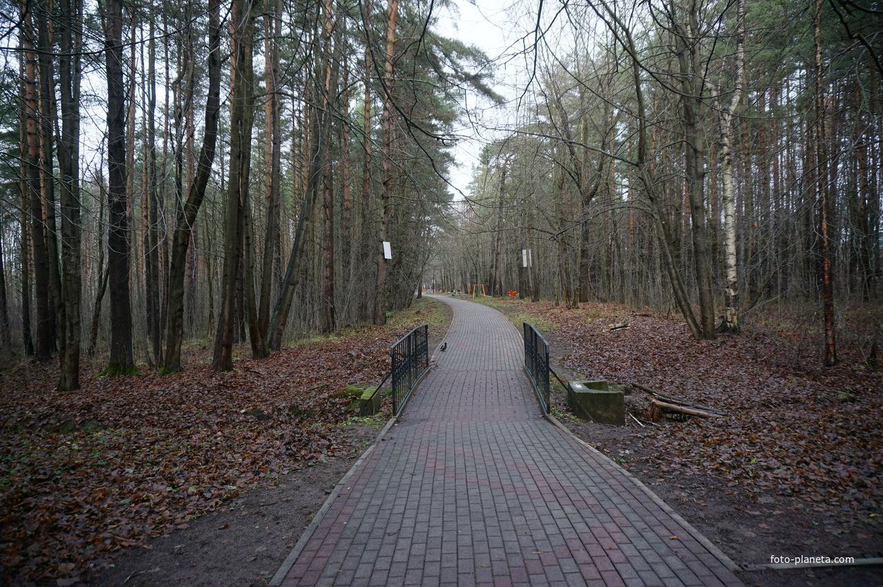 В сквере Чернобыльцев.