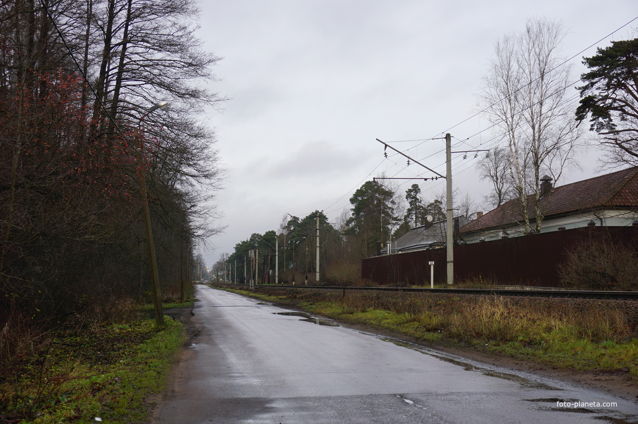 Сестрорецк п.Разлив.