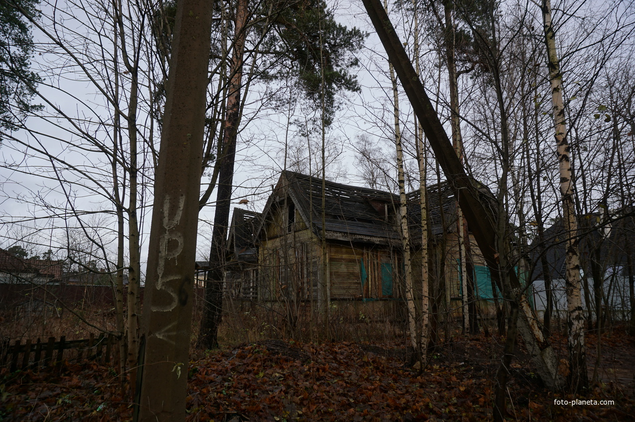 Сестрорецк п.Разлив.