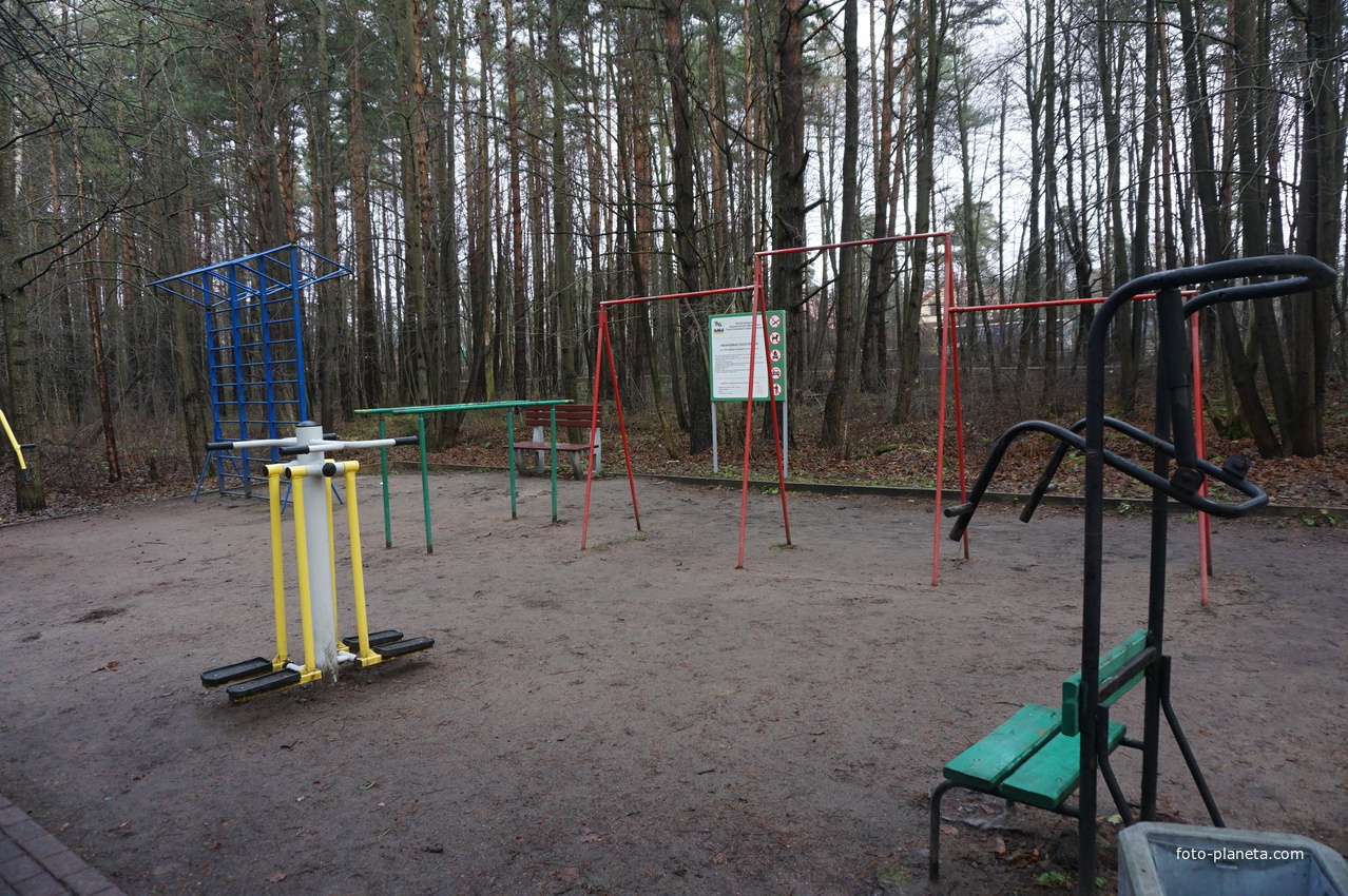 В сквере Чернобыльцев.