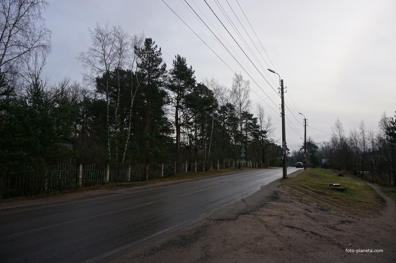 Сестрорецк п.Разлив.