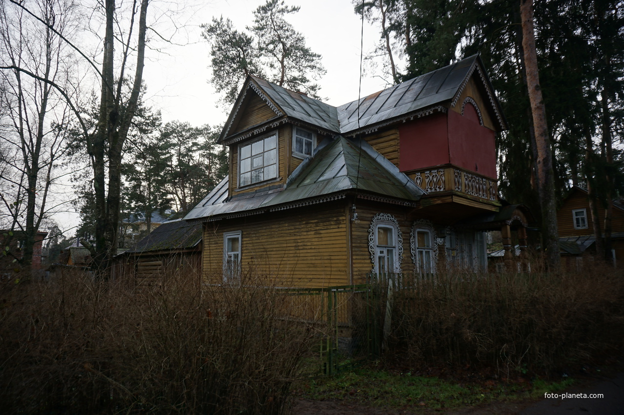 Сестрорецк п.Разлив.