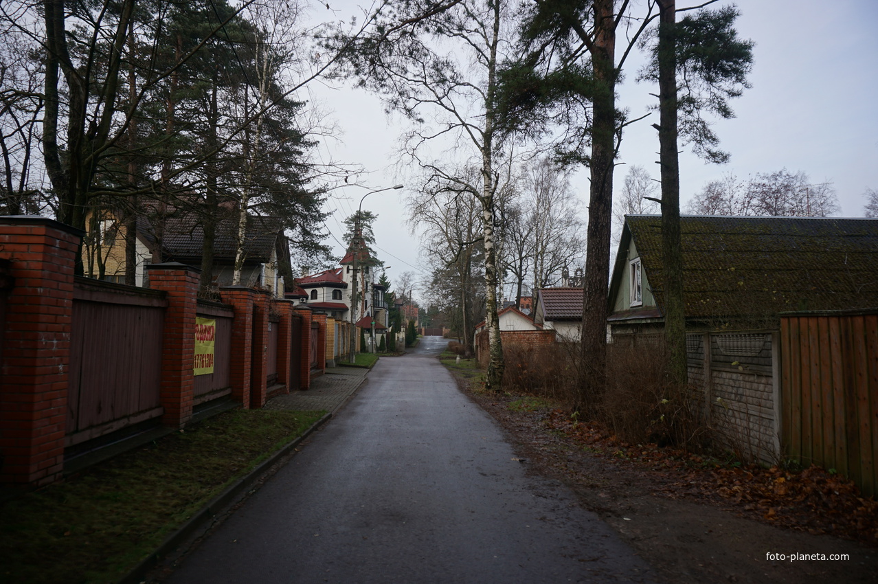 Сестрорецк п.Разлив.