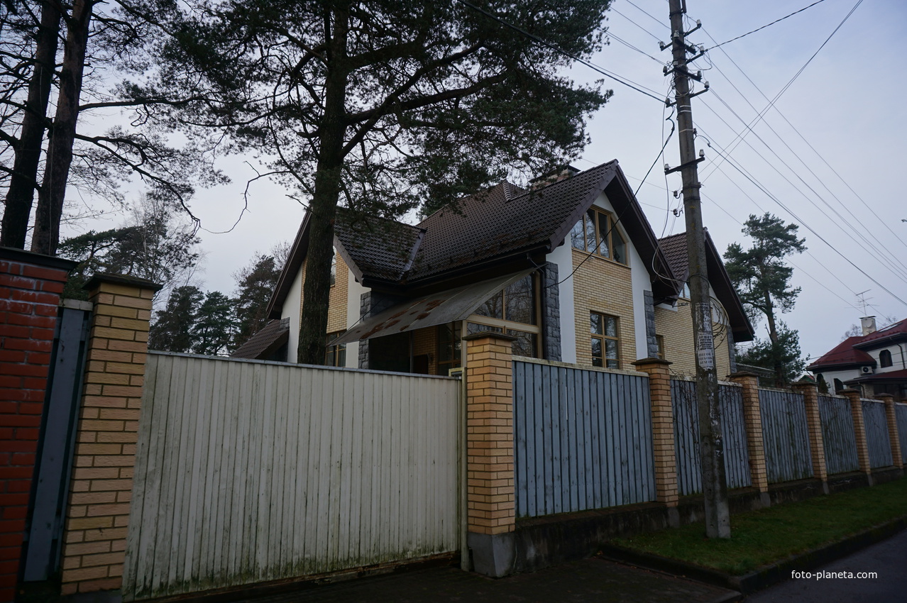 Сестрорецк п.Разлив.