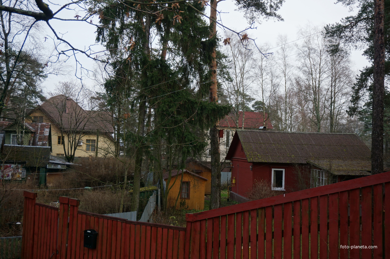 Сестрорецк п.Разлив.