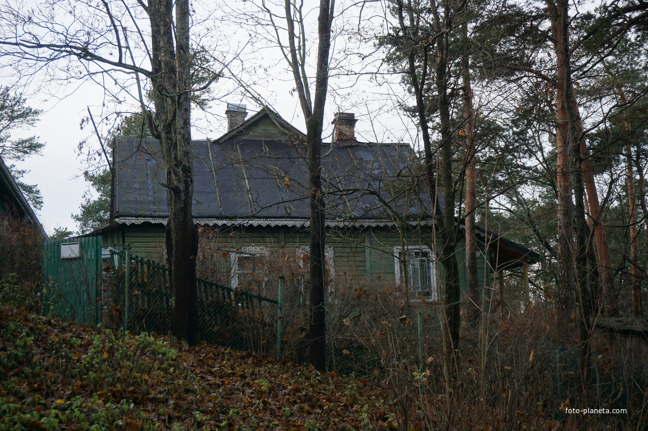 Сестрорецк п.Разлив.