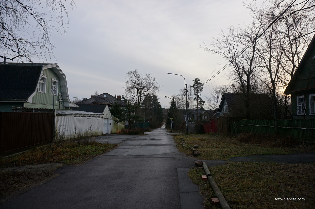 Сестрорецк п.Разлив.