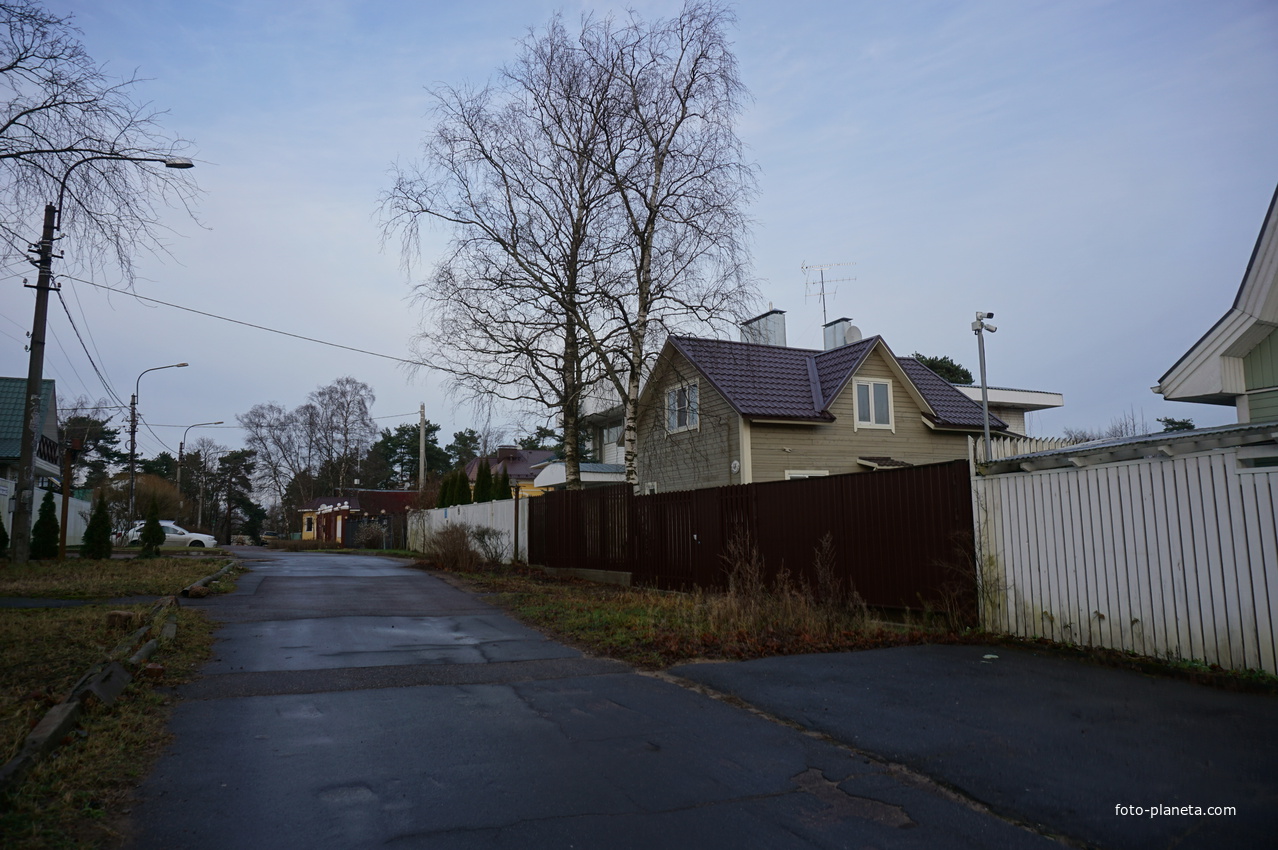 Сестрорецк п.Разлив.