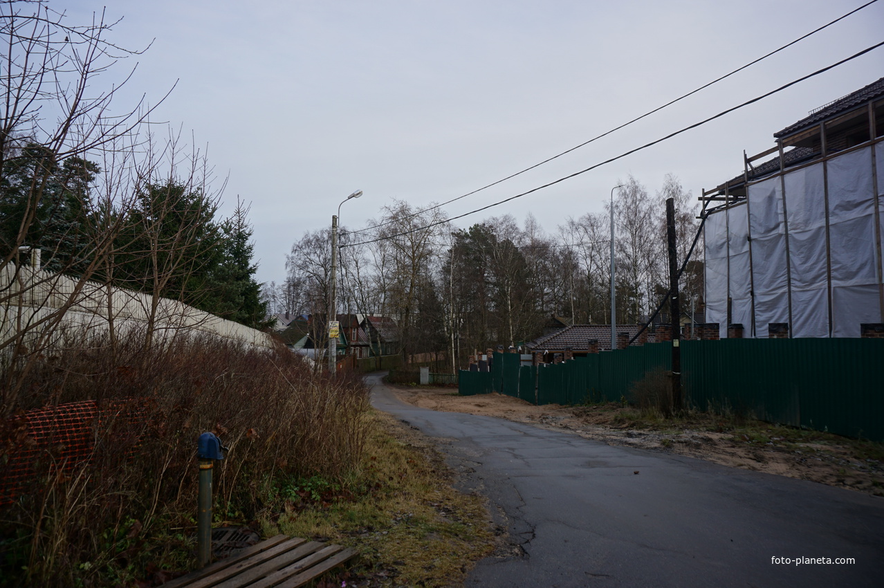 Сестрорецк п.Разлив.