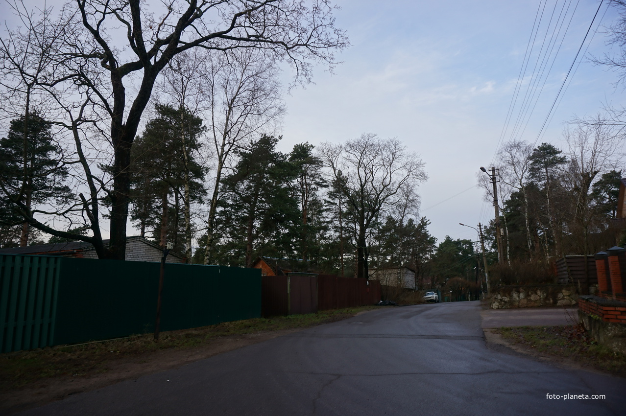 Сестрорецк п.Разлив.