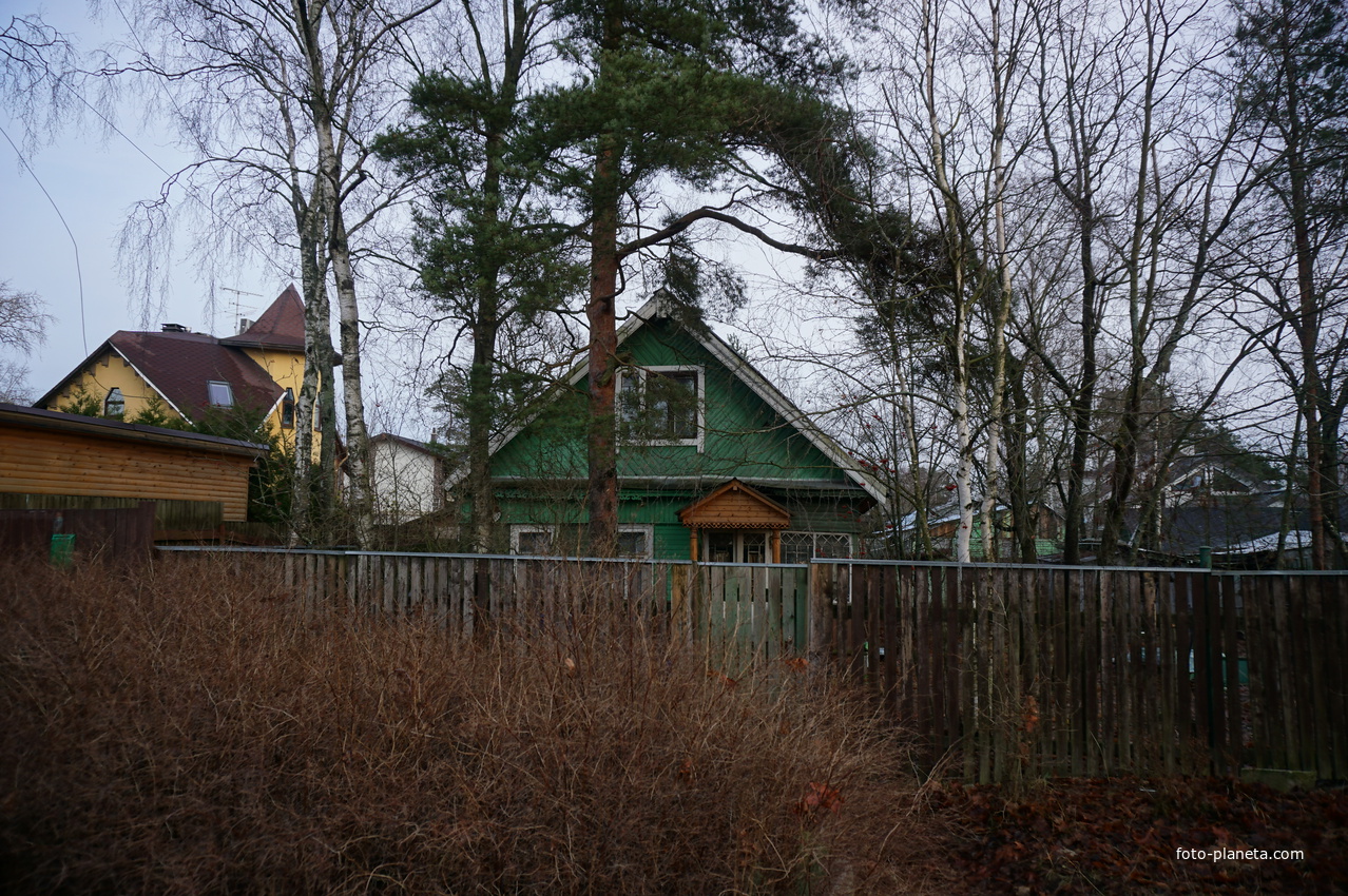 Сестрорецк п.Разлив.