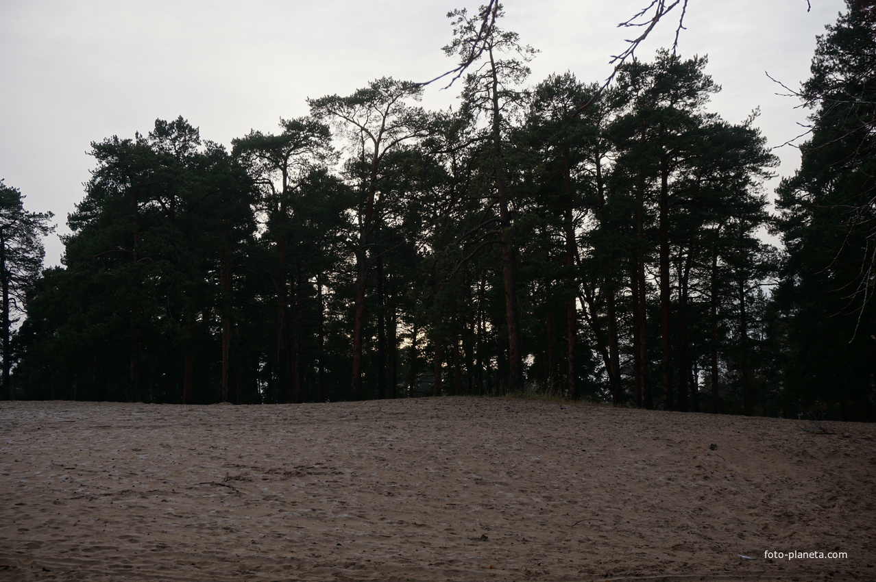 Сестрорецк п.Разлив.