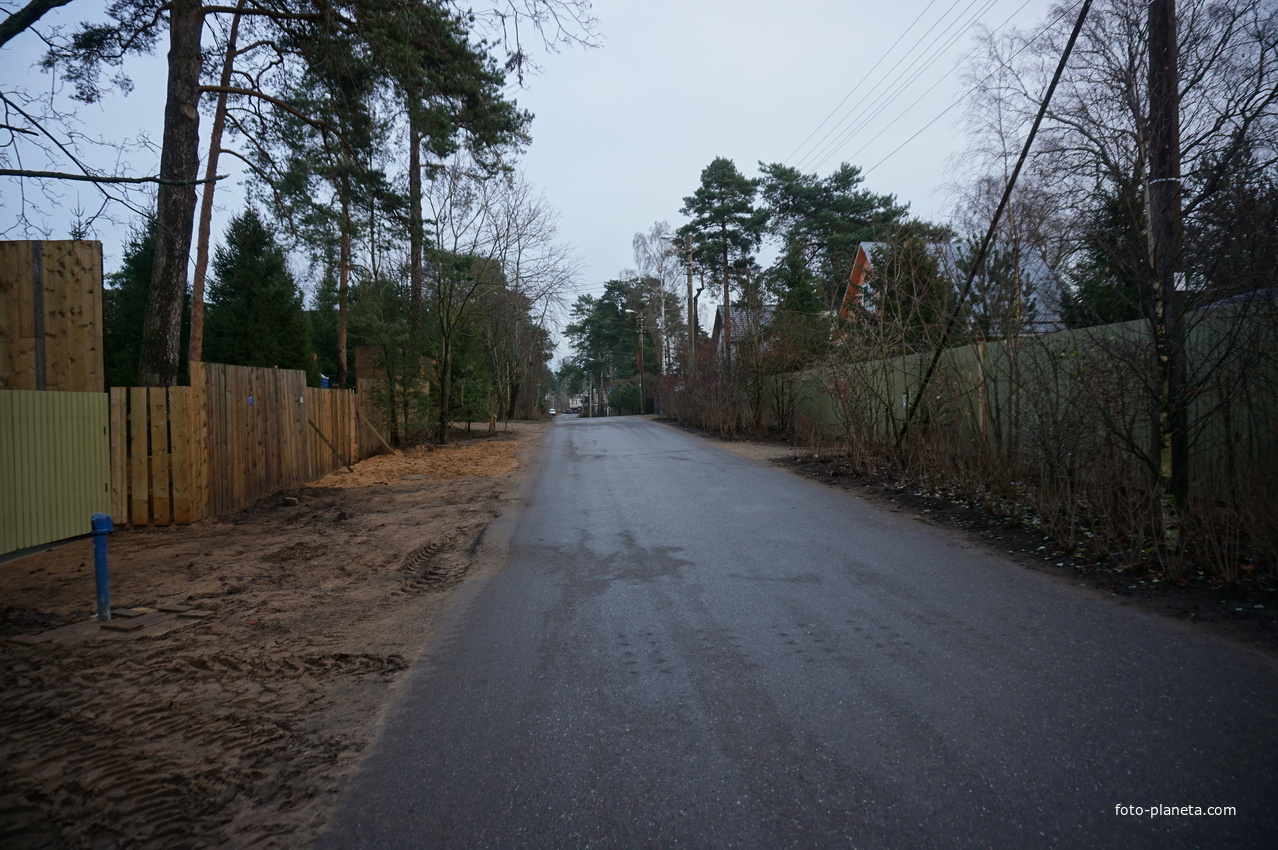 Сестрорецк п.Разлив.