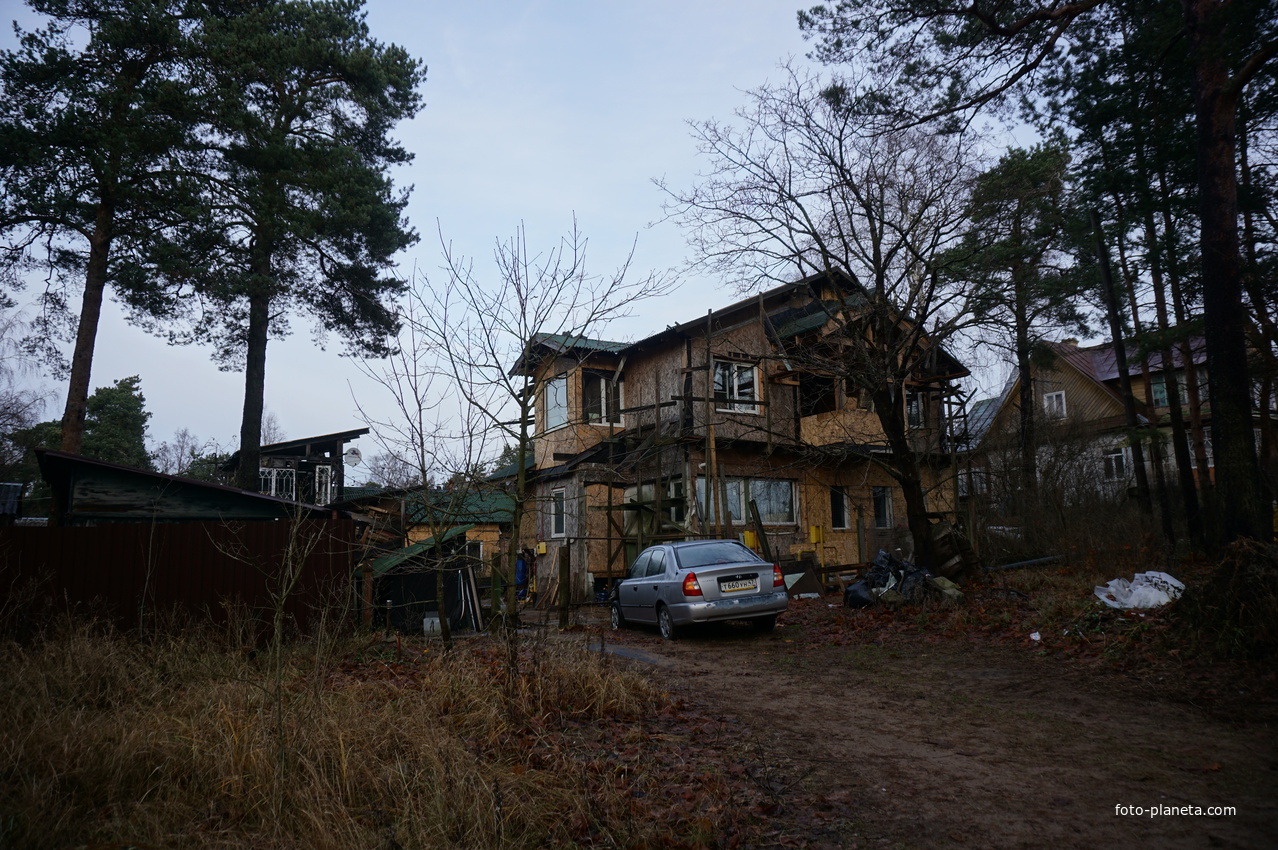 Сестрорецк п.Разлив.