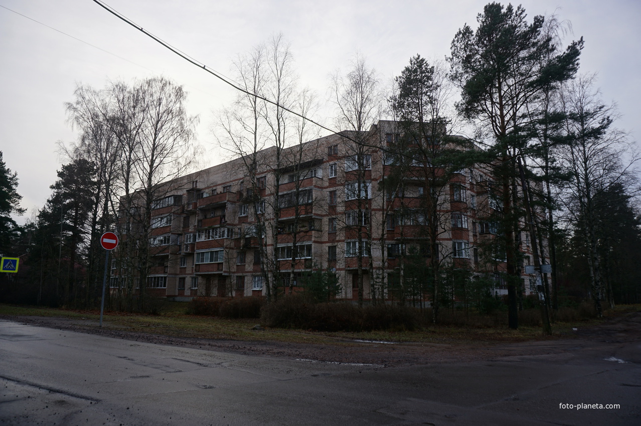 Сестрорецк п.Разлив.