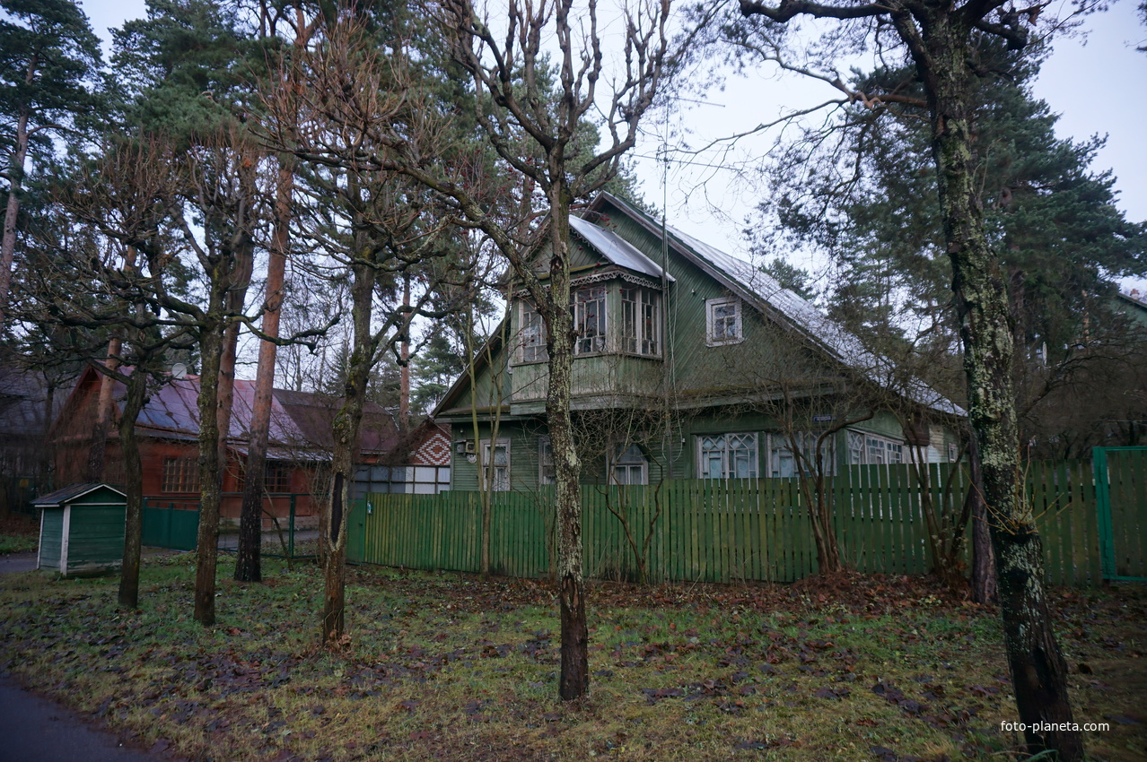 Сестрорецк п.Разлив.