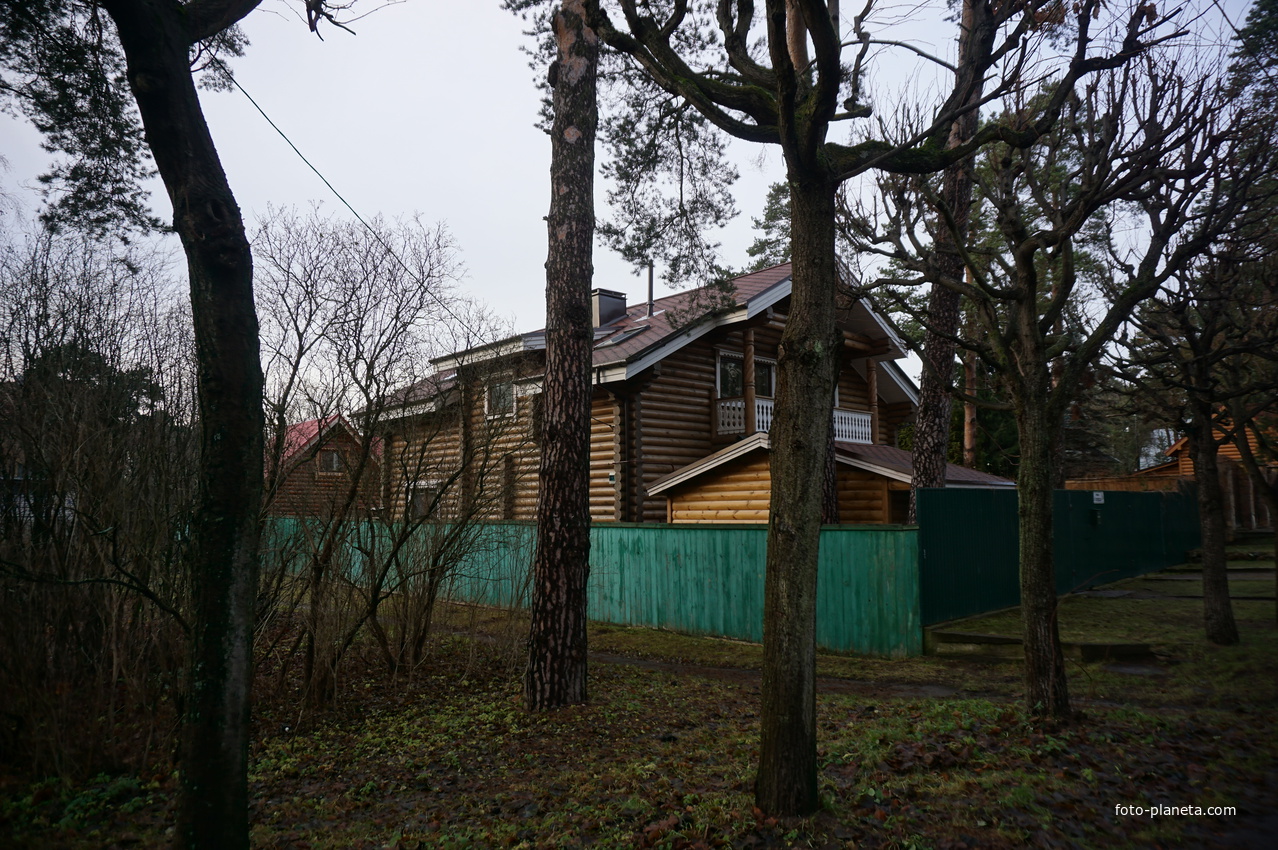 Сестрорецк п.Разлив.