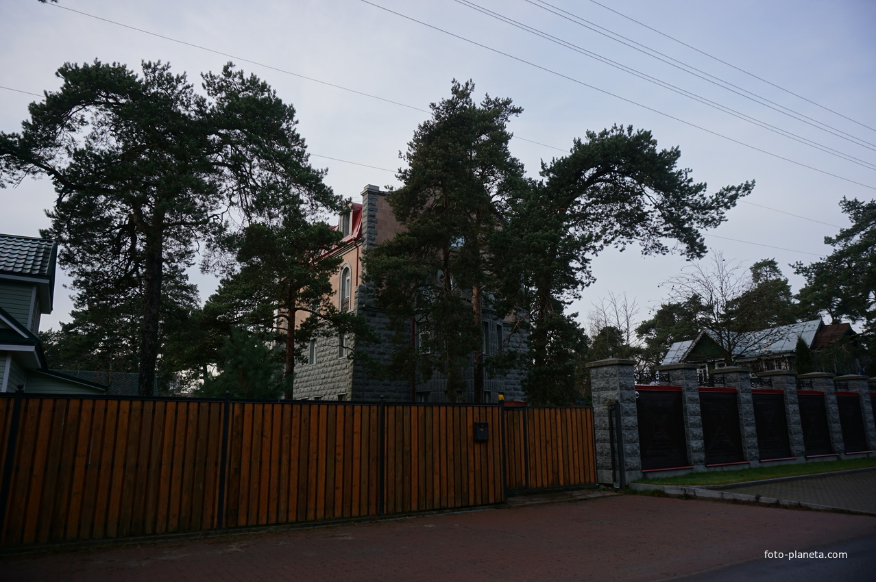 Сестрорецк п.Разлив.