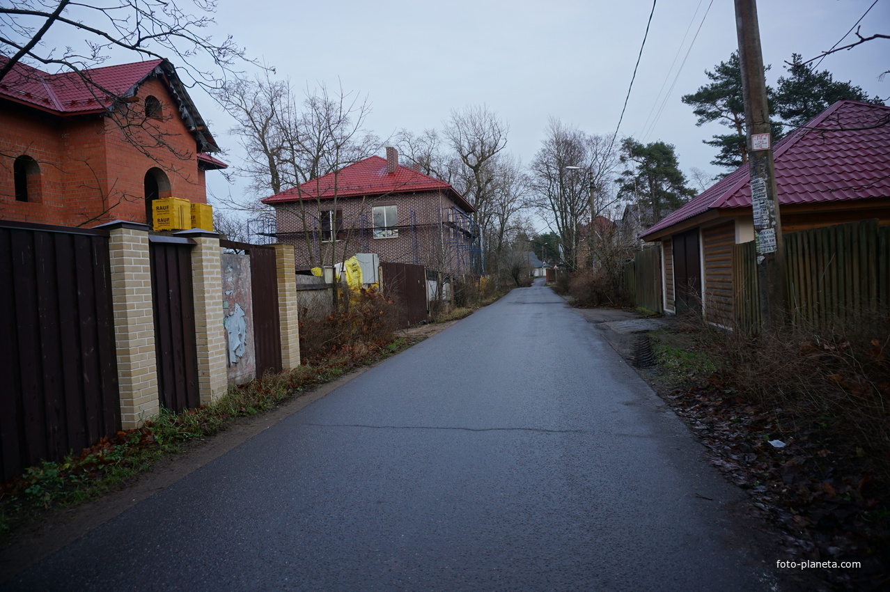 Сестрорецк п.Разлив.