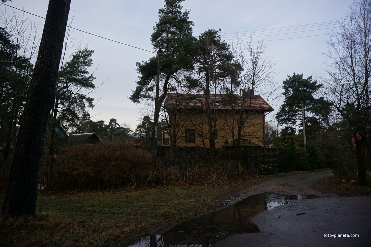 Сестрорецк п.Разлив.