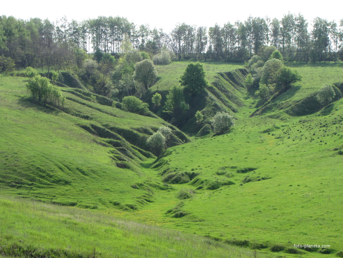 Зеленый майские бугры в селе Скородном.