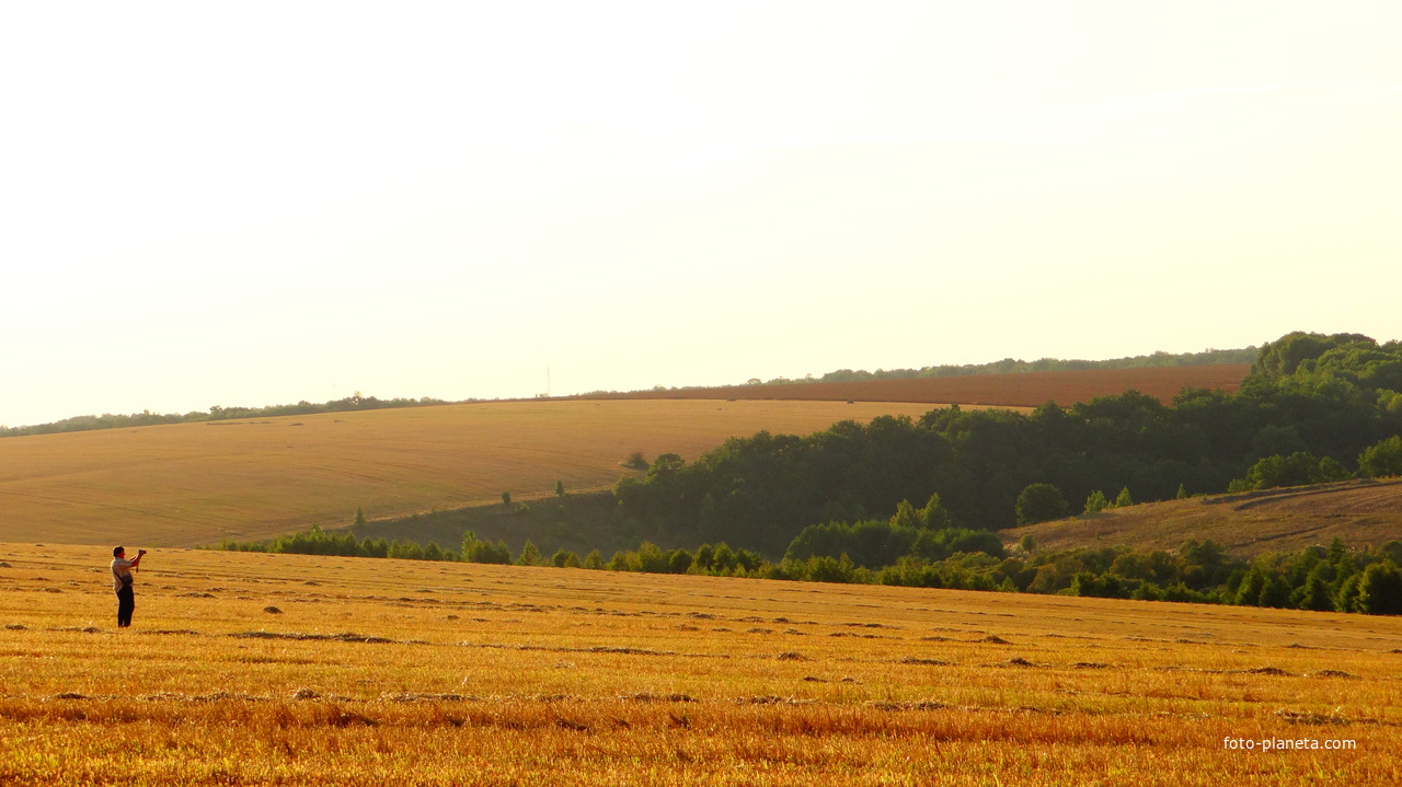 Вид на запольное. Золотые поля Родины.