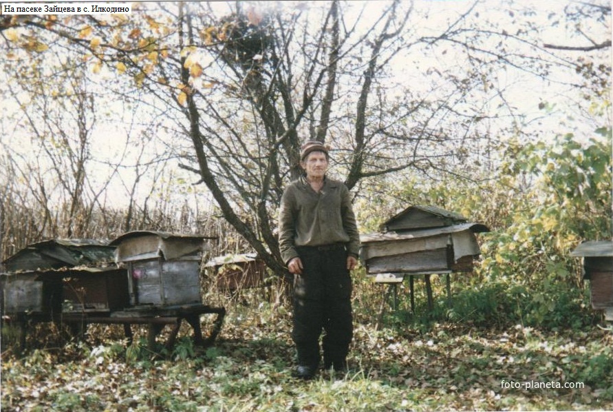 На пасеке Зайцева в селе Илкодино. 1996г.