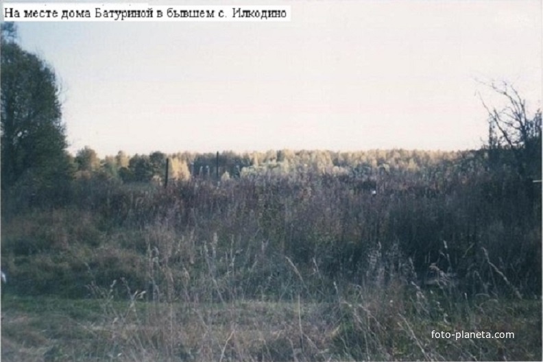 На месте дома Батуриной в Илкодино. 2004г.