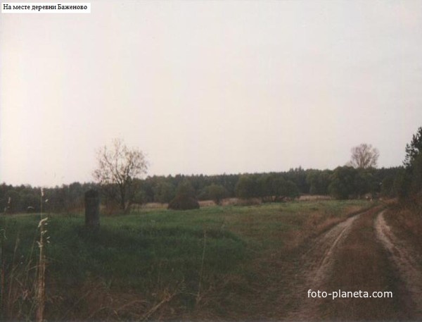 На территории бывшей деревни Баженово. 1994г.