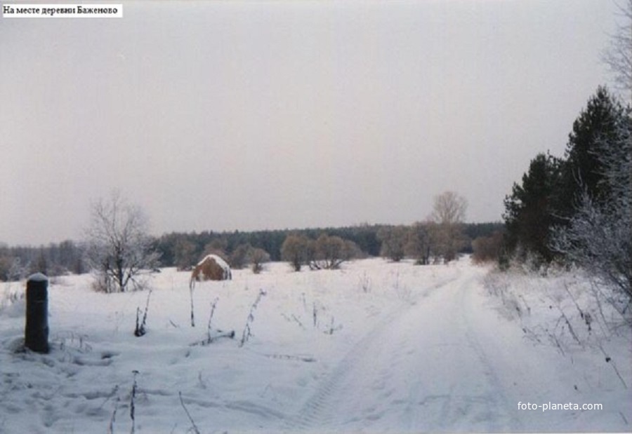 На территории бывшей деревни Баженово. 1993г.