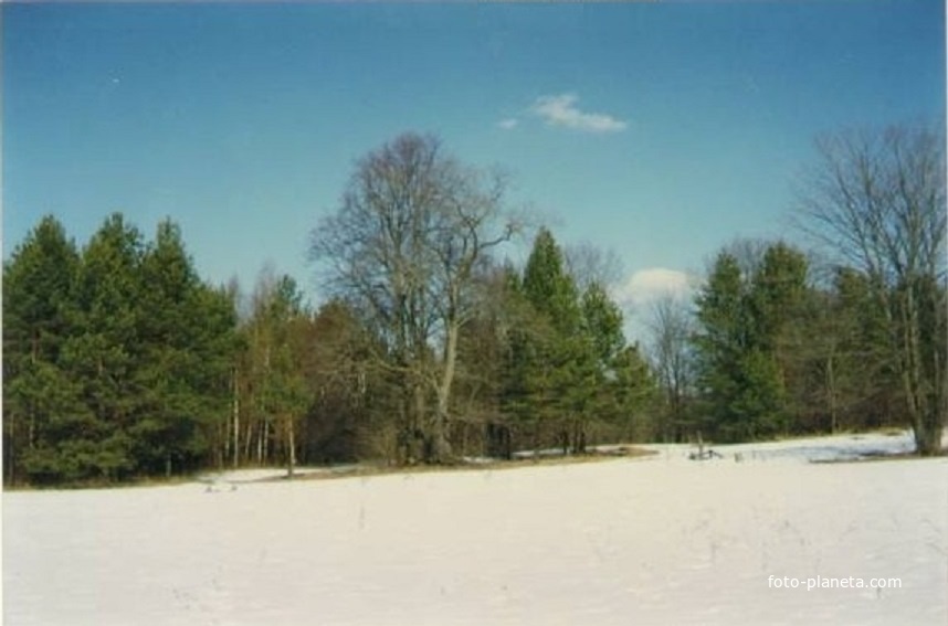 На месте бывшей деревне Курилово. 1998г.