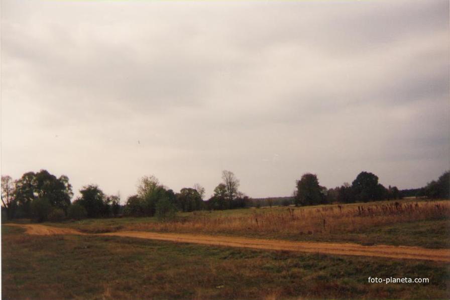 На месте бывшей деревни Селищи. 1994г.