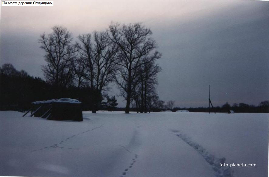 На месте бывшей деревни Спиридово. 1994г.