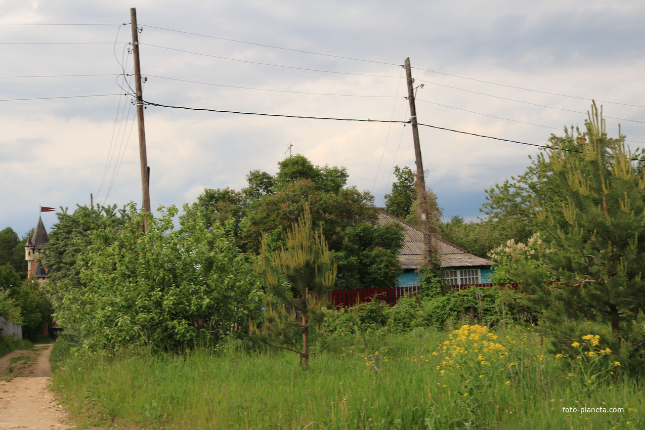 Сосновка